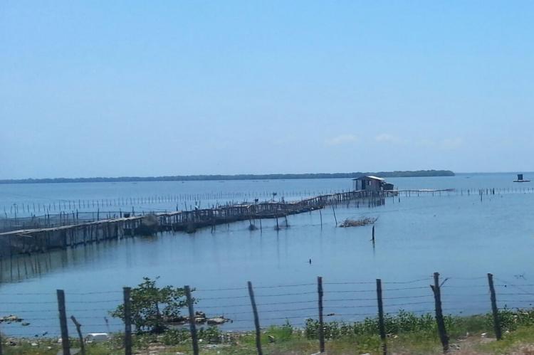 House on stilts at Ciénaga Grande de Santa Marta, Colombia