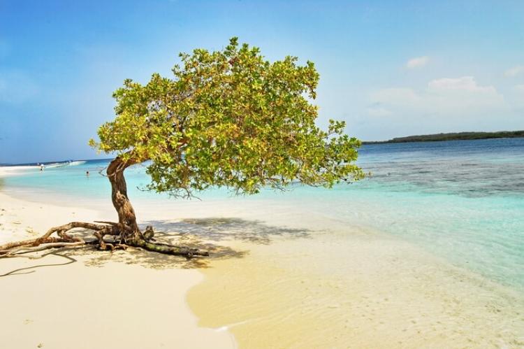 Cayo Sombrero, Venezuela
