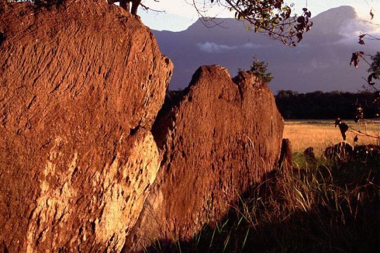 Cerro Duida, La Esmeralda, Venezuela