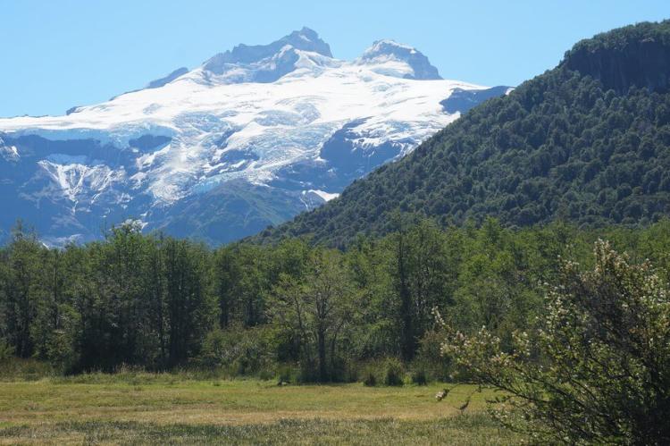 View of Cerro Tronador from Pampa Linda, Nahuel Huapi National Park, Argentina