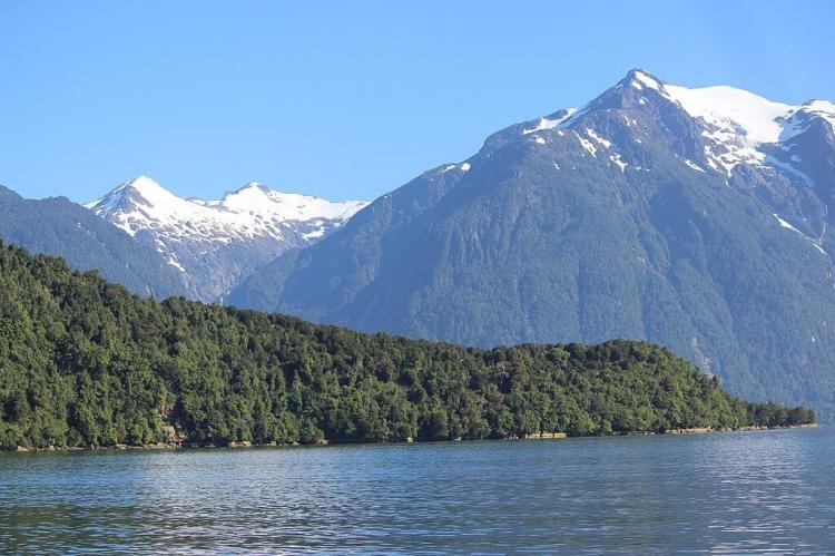 Chacabuco, Chile, Patagonia forest / steppe