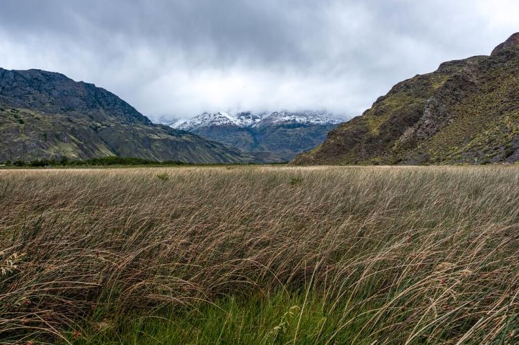Chacabuco Valley, Patagonia National Park, Chile