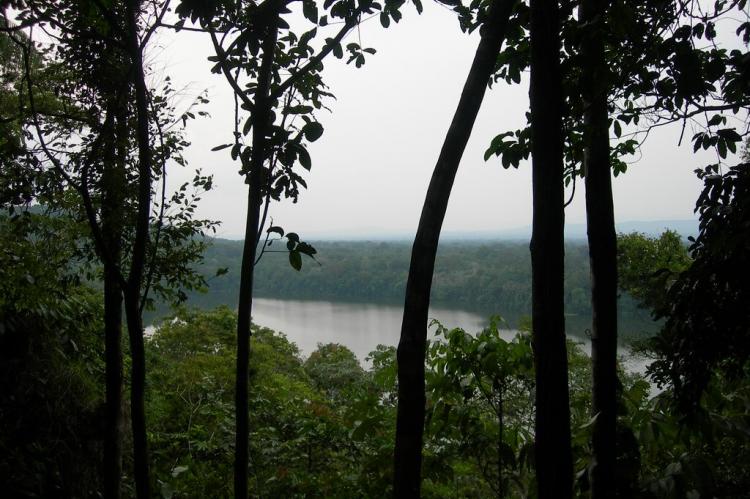 View of Chalalan Lake, Madidi National Park, Bolivia