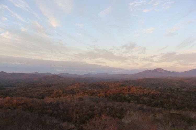 Chamela-Cuixmala Biosphere Reserve dry tropical forest (Mexico)