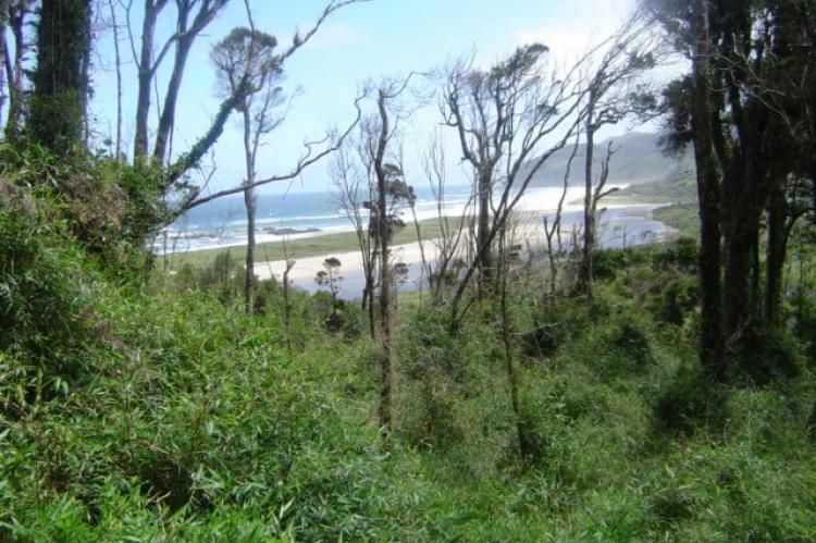 Chiloé National Park, Abtao, Chile