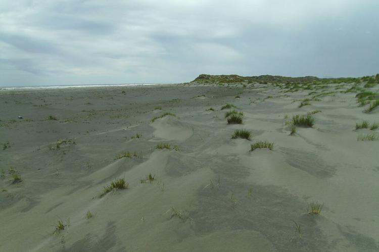 Coastline of Chiloé National Park, Chile