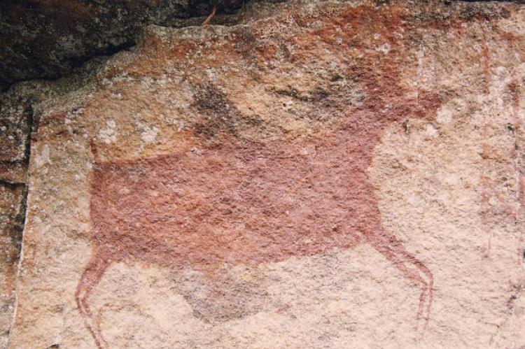 Petroglyph in Chiribiquete National Park, Colombia