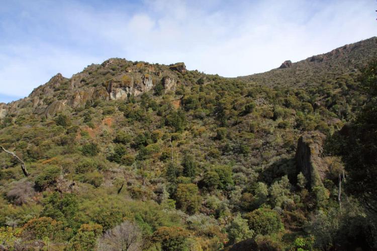 Páramo, Chirripó National Park, Costa Rica