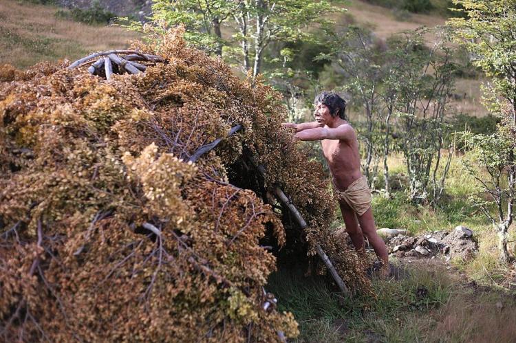 Indigenous Kawésqar building a hut