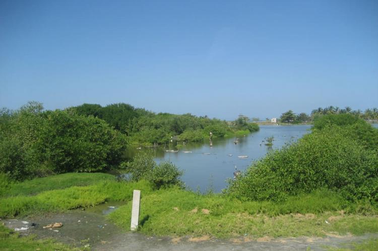 Ciénaga Grande de Santa Marta, Colombia