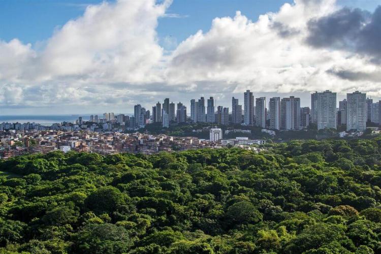 Skyline of São Salvador da Bahia, Brazil
