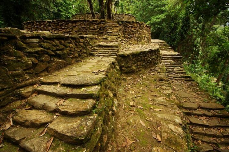 Stairs and walkways, Ciudad Perdida, Colombia