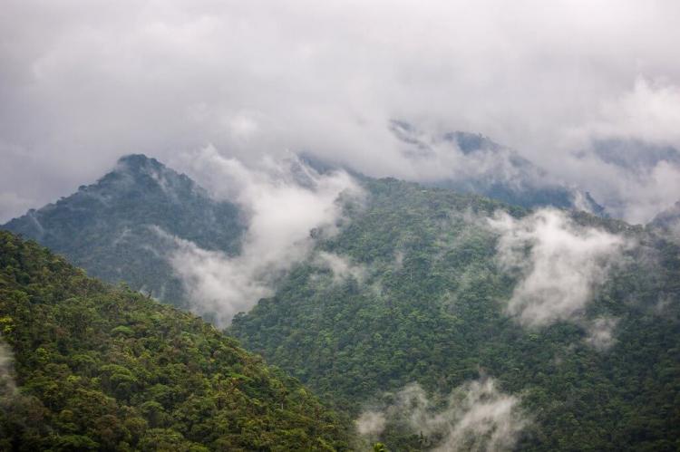 Cloud Forest in Braulio Carrillo National Park, Costa Rica