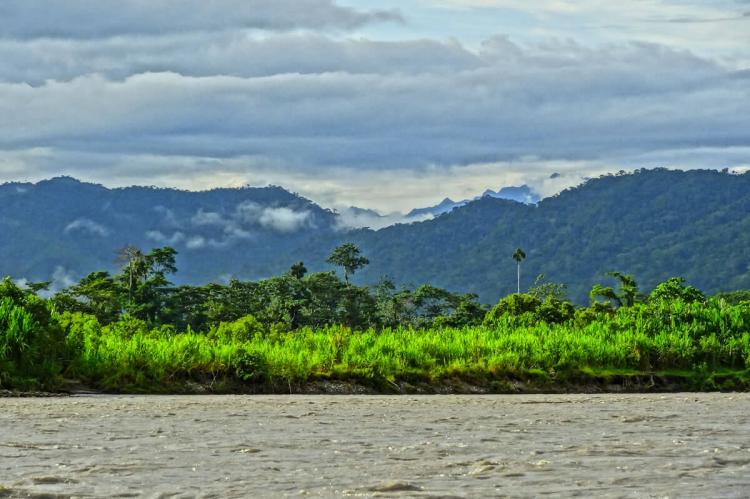 Clouds over forest, Manú National Park, Peru