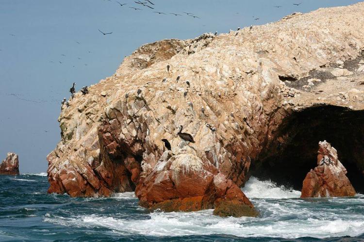 Coastline of the Ballestas Islands, Peru