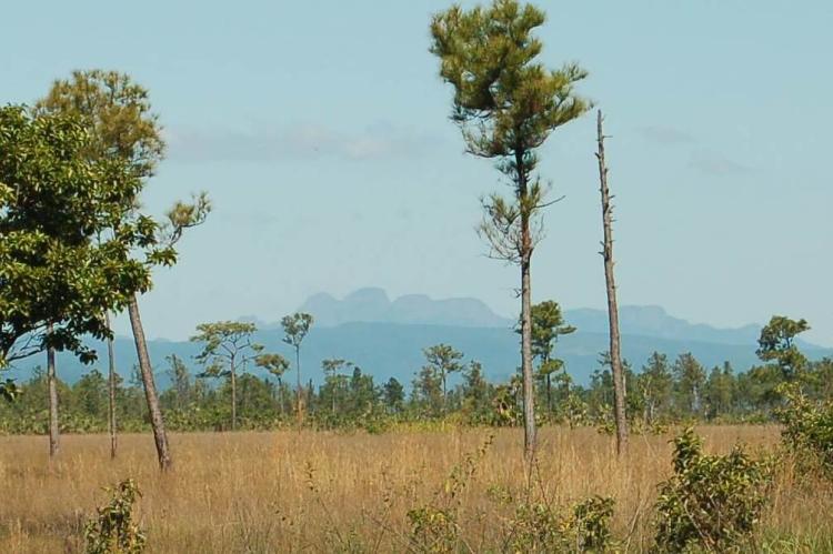 View of the Cockscomb Range, Belize