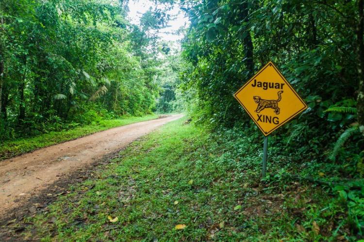 Jaguar crossing sign and dirt road, Cockscomb Basin Wildlife Sanctuary, Belize