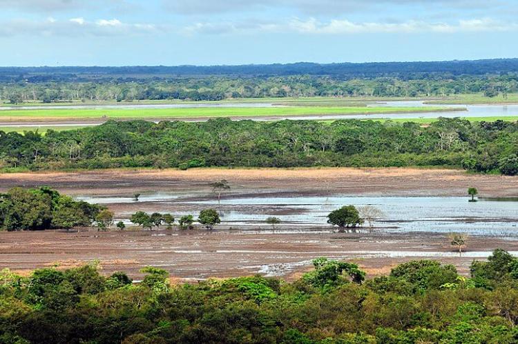 Colombia's eastern plains, or Llanos