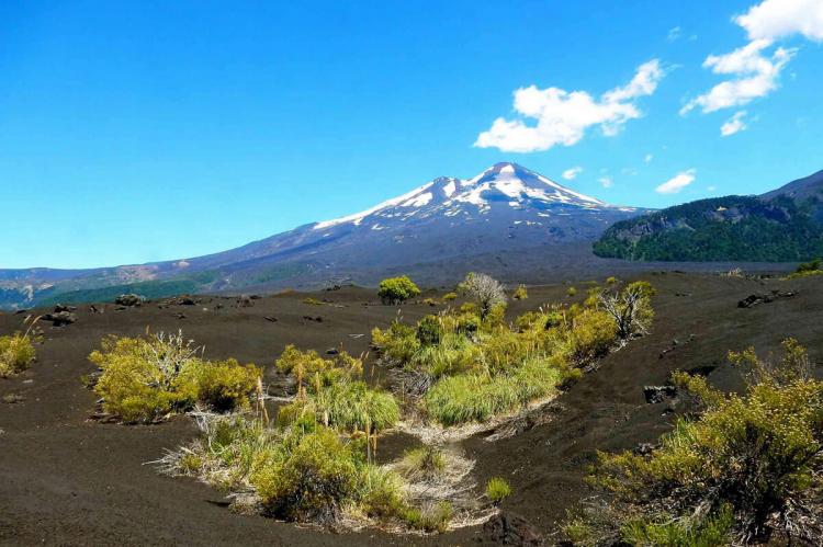 Conguillío National Park - Araucarias Biosphere Reserve (Chile)
