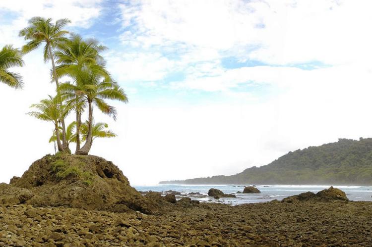 Coastline in Corcovado National Park, Costa Rica