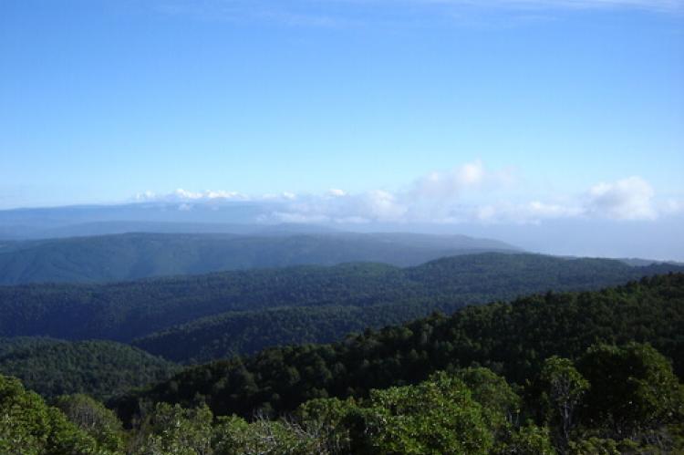 The Cordillera de la Costa (Chilean Coast Range) — seen from Oncol Peak, Los Ríos Region, chile