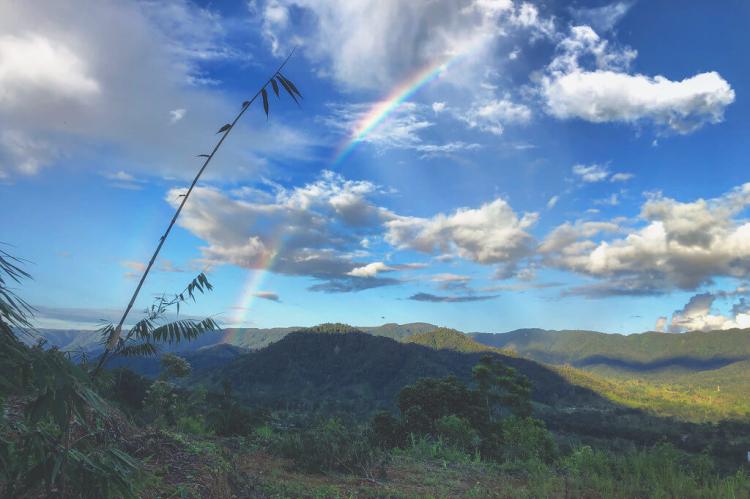 Panoramic view of the Cordillera del Cóndor from the Valley of the fireflies in Zamora-Chinchipe, Ecuador