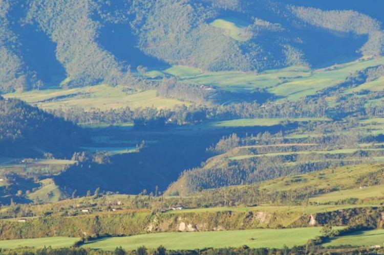 Cotacachi Cayapas Ecological Reserve, Ecuador