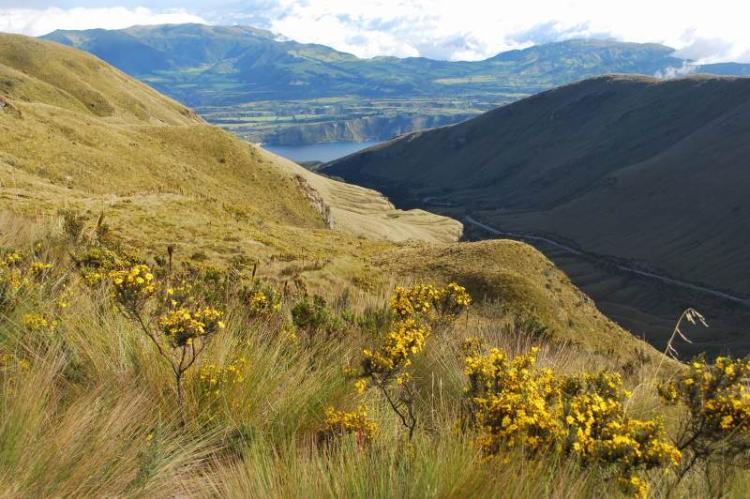 Cotacachi Cayapas Ecological Reserve, Ecuador