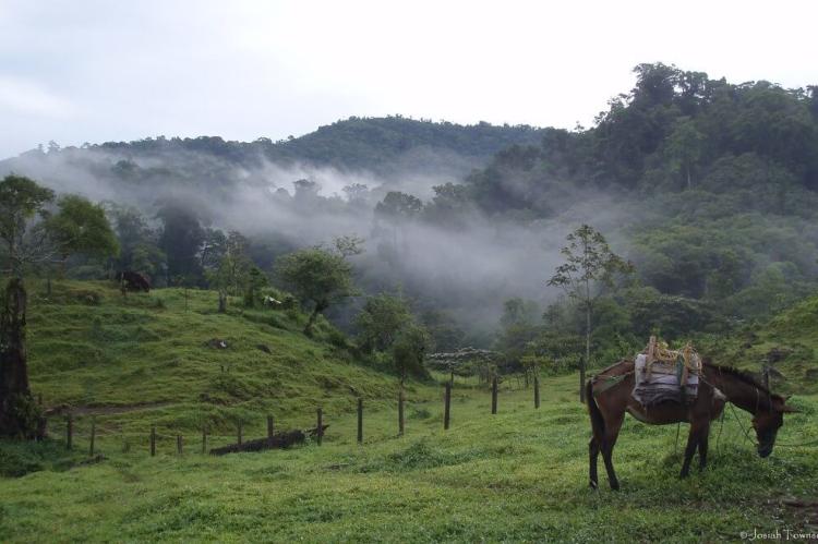 Morning mist, La Liberacion, Reserva de Vida Silvestre Texiguat, Honduras