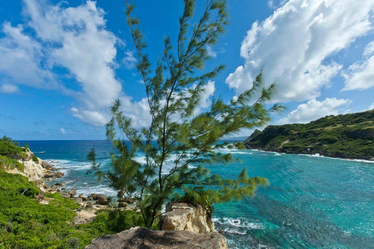 Cove Bay on Barbados east coast