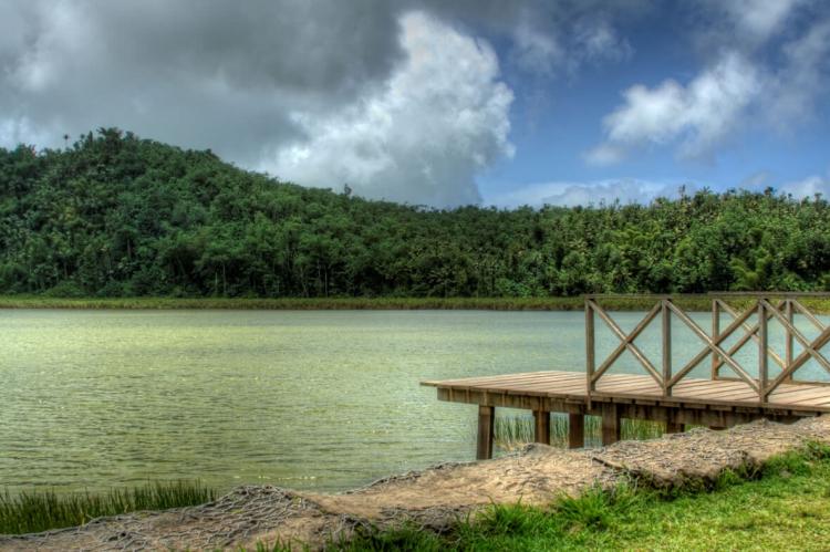 Grand Etang National Park and Forest Reserve (Grenada)