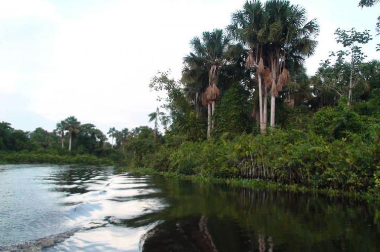 Delta del Orinoco, Venezuela