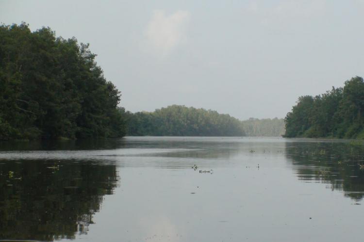 Delta del Orinoco, Venezuela