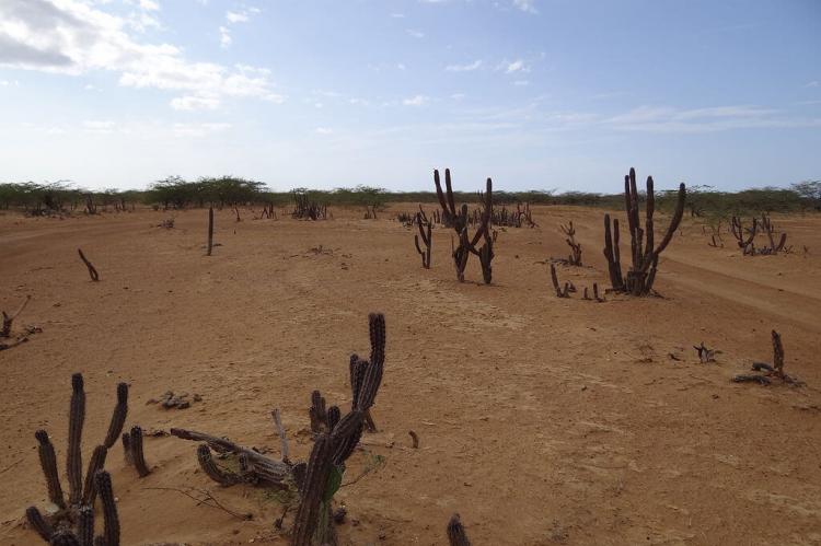 La Guajira Desert, Colombia