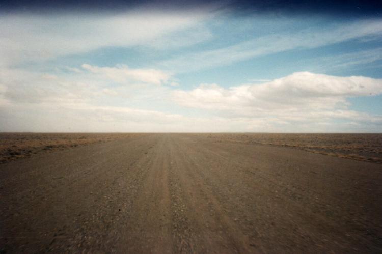 The dry pampas, Argentina