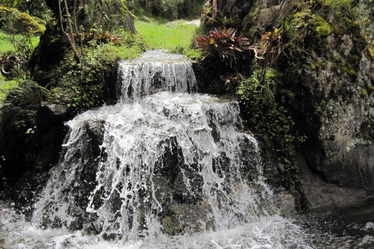 Cajas National Park & Biosphere Reserve, Azuay, Ecuador