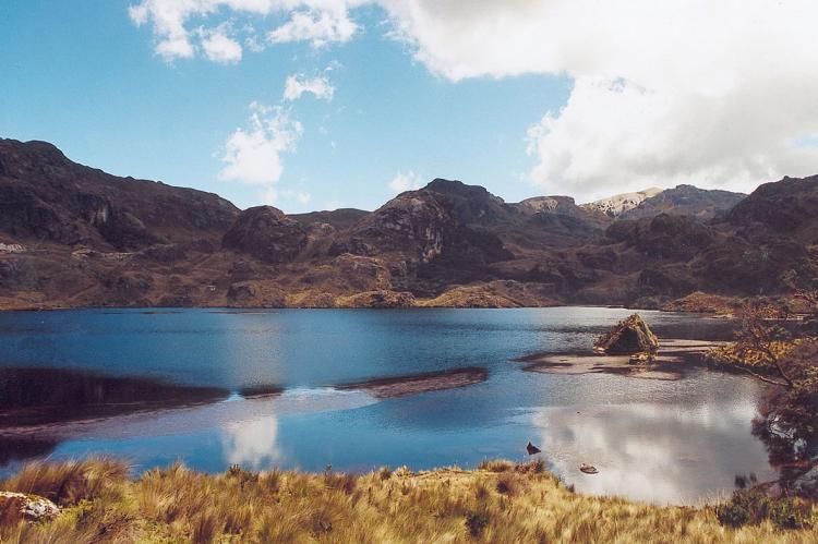 Cajas National Park, Azuay, Ecuador
