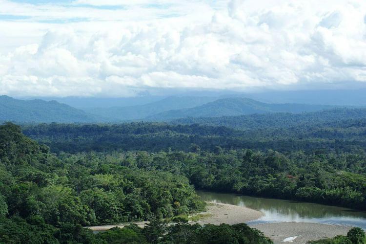 Ecuadorian Amazon rainforest, looking toward the Andes