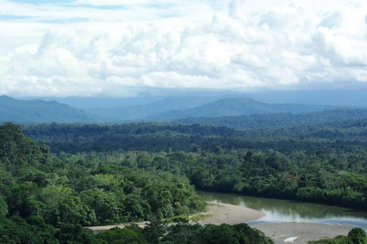 Ecuadorian Amazon rainforest, looking toward the Andes