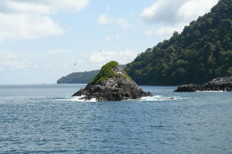 El Horno Rock from Gorgona island (Colombia)