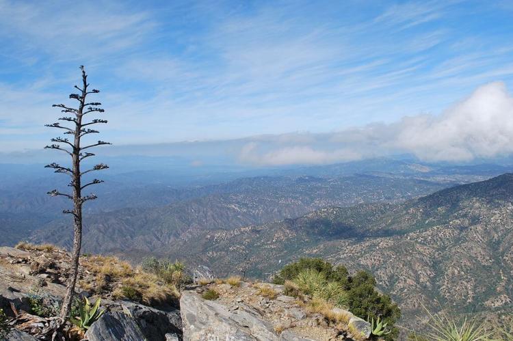 Panorama from El Picacho in the Sierra de la Laguna, Mexico