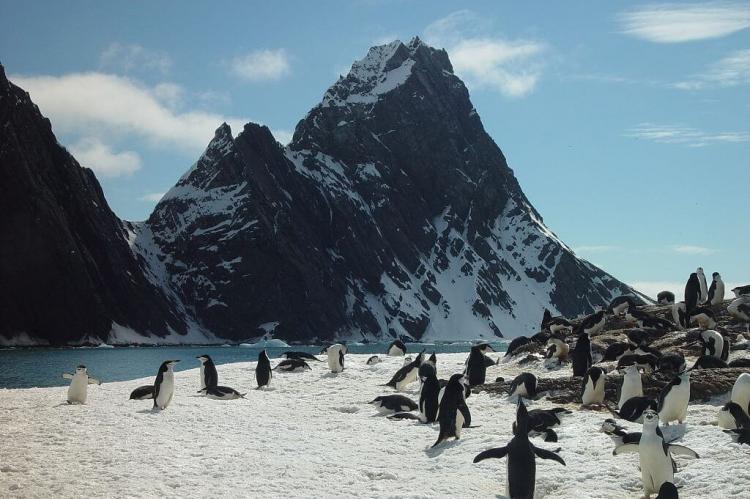 Elephant Island, Cape Wild, South Scotia Ridge