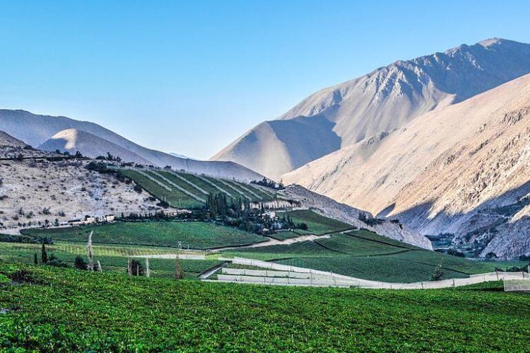 Valle del Elqui, Region de Coquimbo, Chile