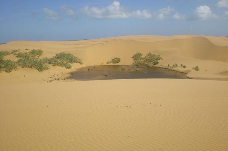 Médanos de Coro National Park