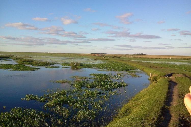 Esteros del Iberá, Corrientes, Argentina