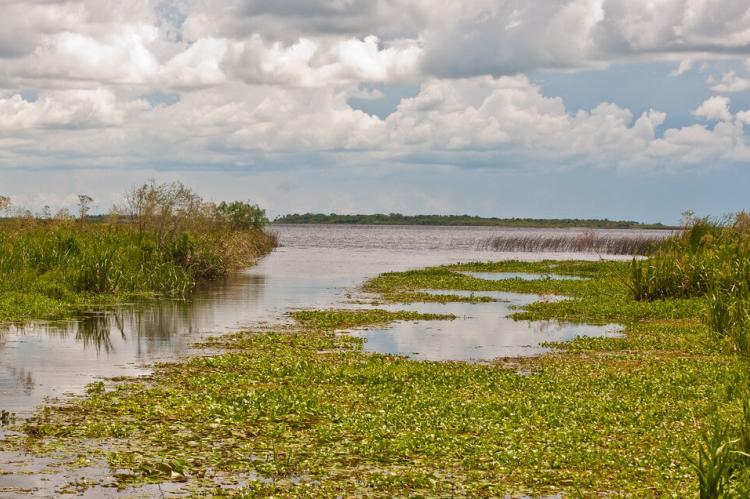 Esteros del Ibera, Corrientes, Argentina