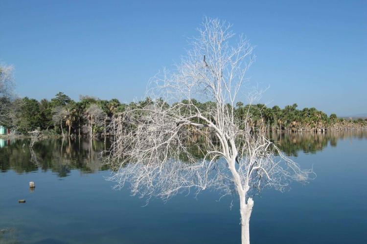 Lake Etang Saumatre, Haiti