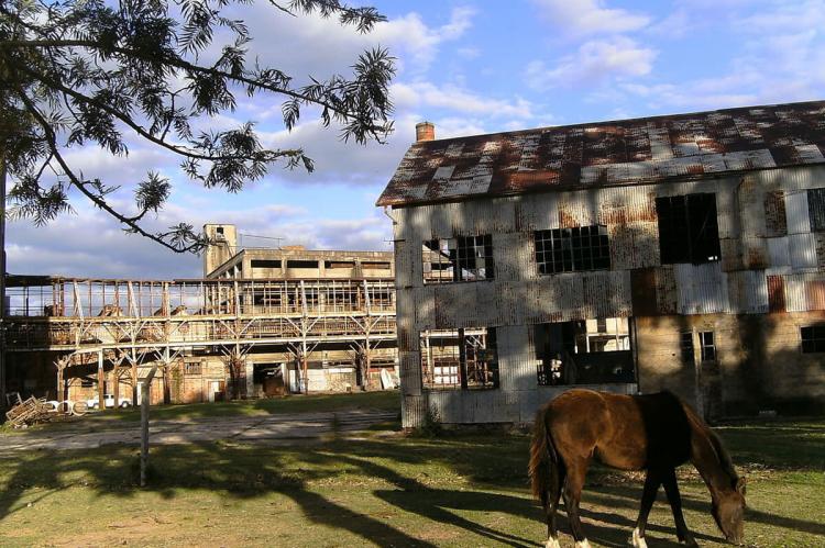 Buildings of Frigorífico Anglo del Uruguay meatpacking plant, Fray Bentos, Uruguay