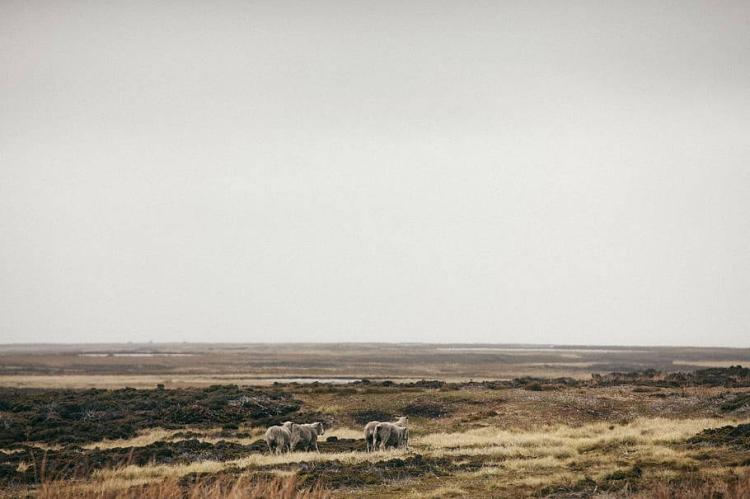 Falkland Islands landscape