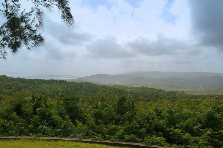 View from Farley Hill National Park, Barbados